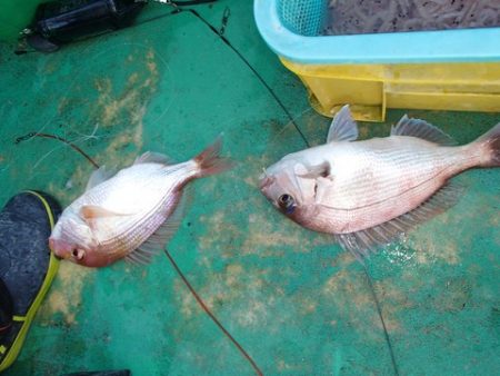 第二むつ漁丸 釣果