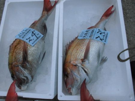 大進丸(新潟) 釣果