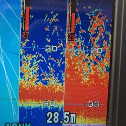 深川 吉野屋 釣果