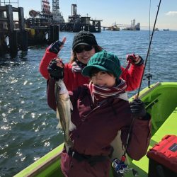 深川 吉野屋 釣果