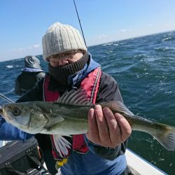 深川 吉野屋 釣果