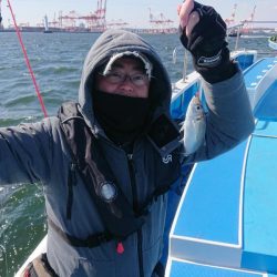 深川 吉野屋 釣果