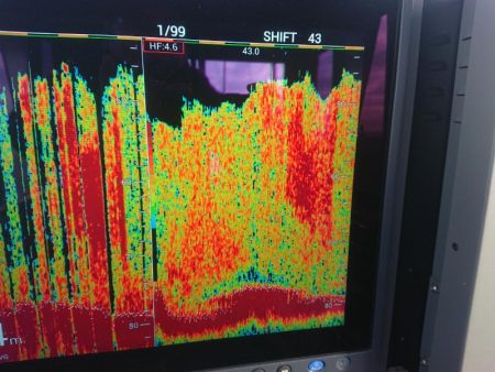 深川 吉野屋 釣果