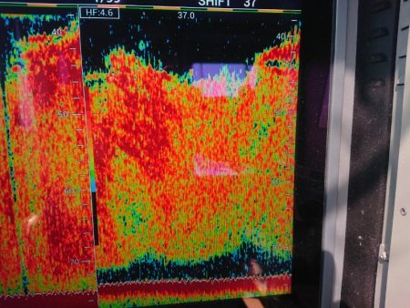 深川　吉野屋 釣果