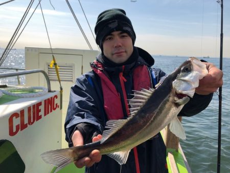 深川 吉野屋 釣果