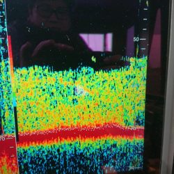 深川 吉野屋 釣果