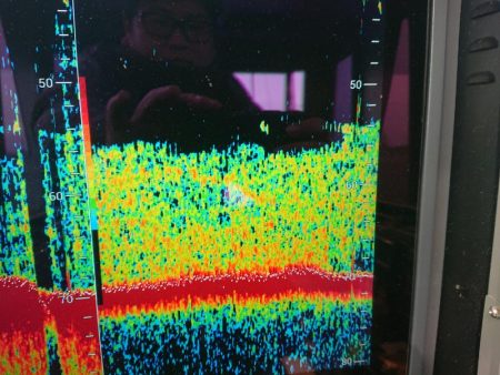 深川 吉野屋 釣果