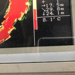 深川　吉野屋 釣果