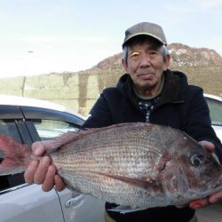 大進丸(新潟) 釣果