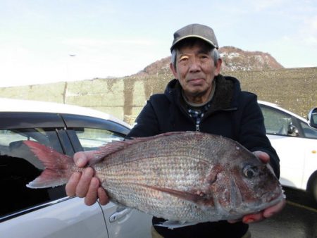 大進丸(新潟) 釣果