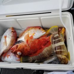 第二大福丸 釣果