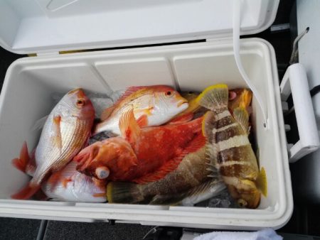 第二大福丸 釣果