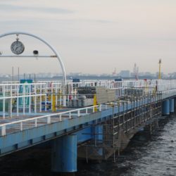 オリジナルメーカー海づり公園(市原市海づり施設) 釣果