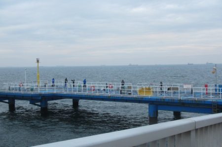 オリジナルメーカー海づり公園(市原市海づり施設) 釣果