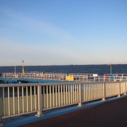 オリジナルメーカー海づり公園(市原市海づり施設) 釣果