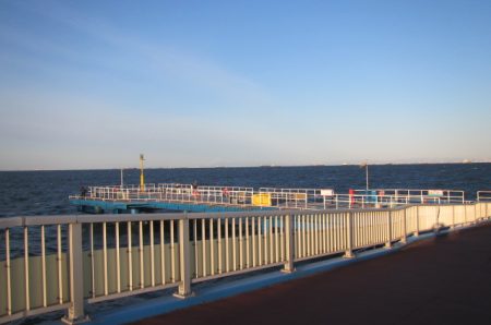 オリジナルメーカー海づり公園(市原市海づり施設) 釣果