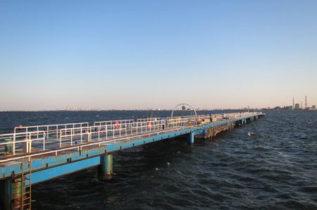 オリジナルメーカー海づり公園(市原市海づり施設) 釣果