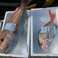 大進丸（新潟） 釣果