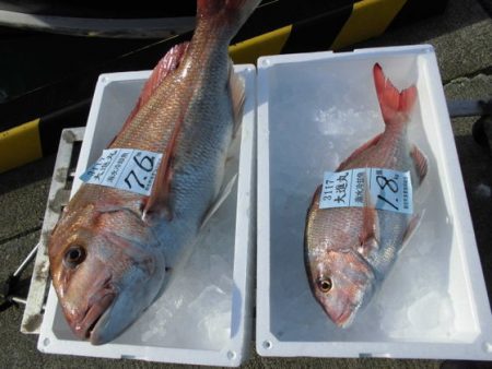 大進丸（新潟） 釣果