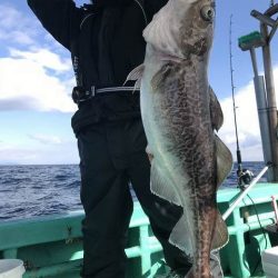 広進丸 釣果