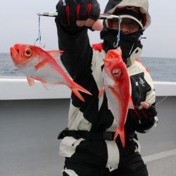 へいみつ丸 釣果
