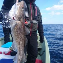 気仙沼 つり丸 釣果