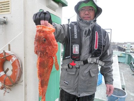 こうゆう丸 釣果