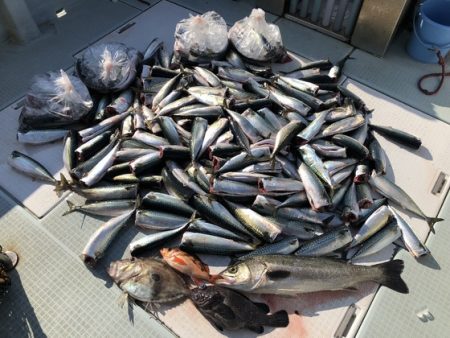 ふじしめ丸 釣果