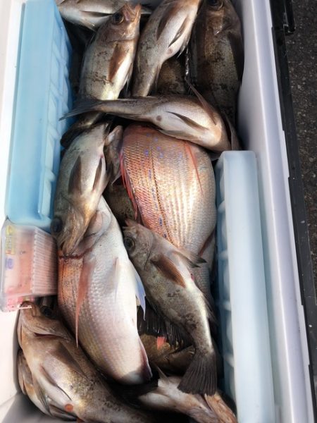 第二辰丸 釣果
