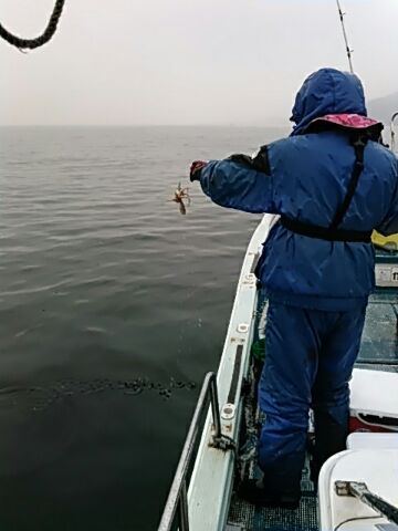 フィッシングガイド りょう 釣果