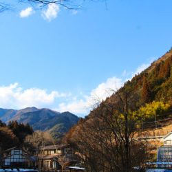 小菅トラウトガーデン 釣果