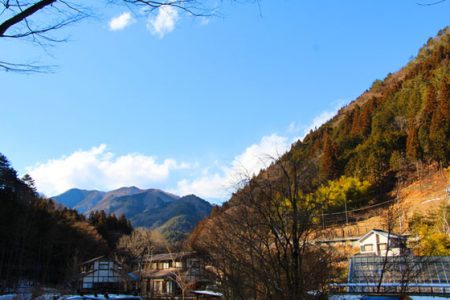 小菅トラウトガーデン 釣果