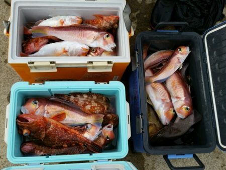 つれ鷹丸 釣果