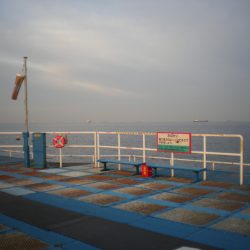 オリジナルメーカー海づり公園(市原市海づり施設) 釣果