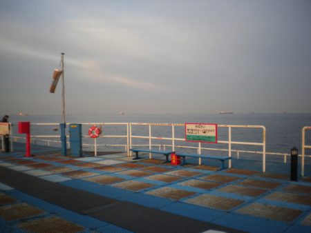 オリジナルメーカー海づり公園(市原市海づり施設) 釣果