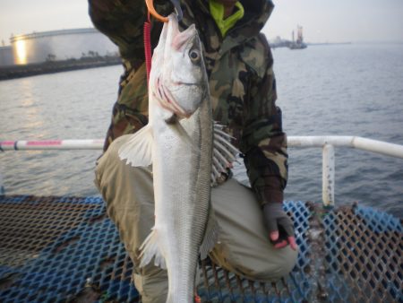 オリジナルメーカー海づり公園(市原市海づり…