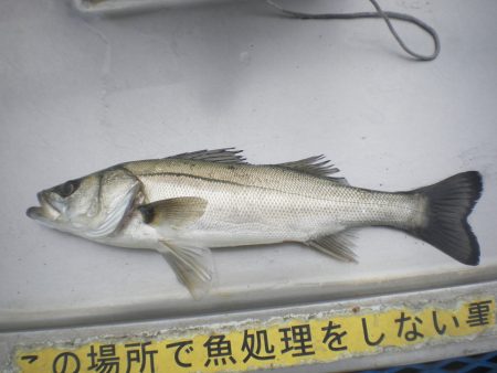 オリジナルメーカー海づり公園(市原市海づり…