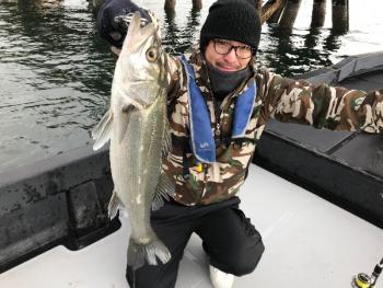 シーマジカル 釣果