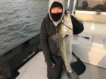 シーマジカル 釣果