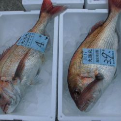 大進丸(新潟) 釣果