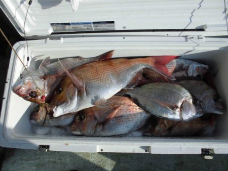 大進丸(新潟) 釣果