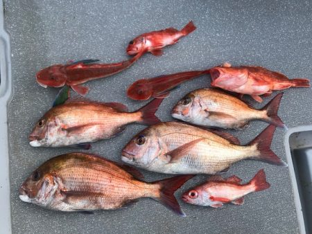 へいみつ丸 釣果