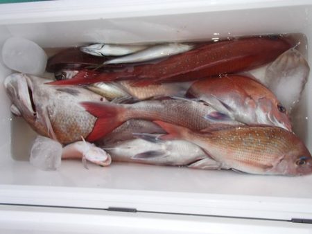 第二むつ漁丸 釣果