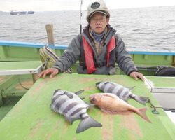 久里浜黒川本家 釣果