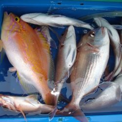 第二むつ漁丸 釣果