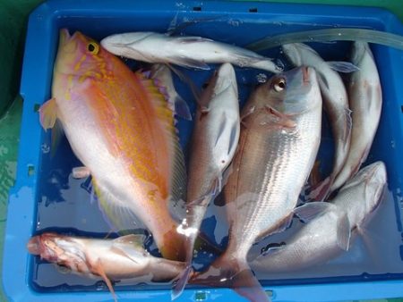 第二むつ漁丸 釣果