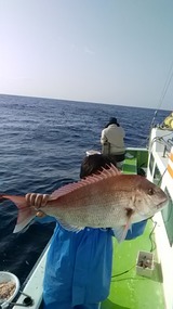 福栄丸 釣果