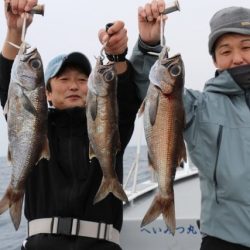 へいみつ丸 釣果