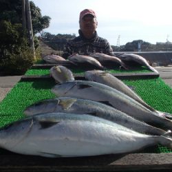 カタタのつり堀 釣果