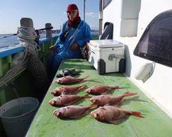 久里浜黒川本家 釣果